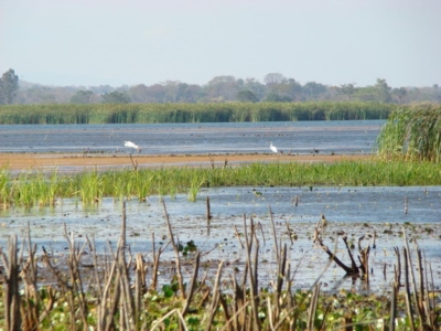 UTILIDADE PÚBLICA - INTER TV divulga matéria sobre destruição da Lagoa do Olaria